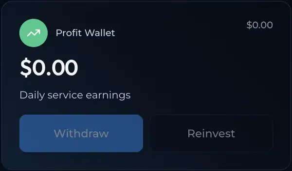 1_profit_wallet
